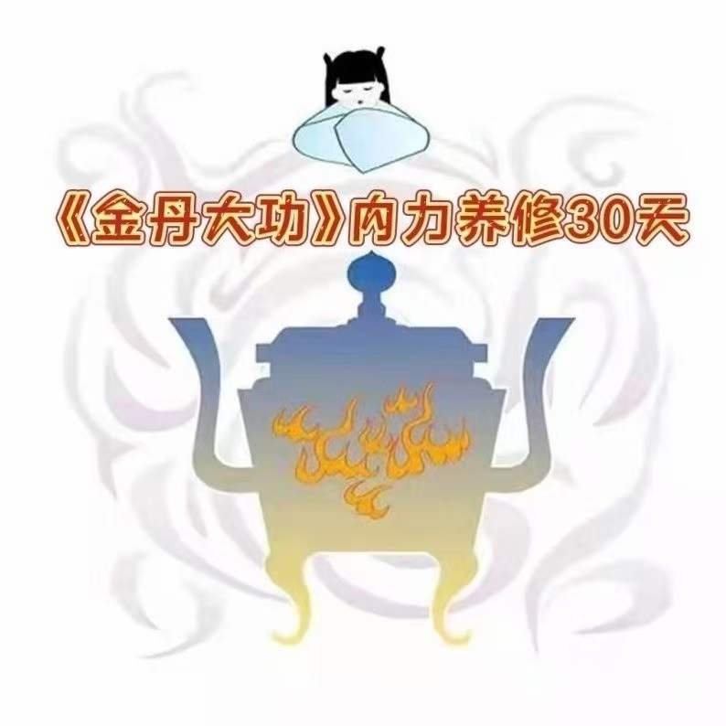 【洞玄师道传承】《金丹大功》视频13集 百度网盘下载