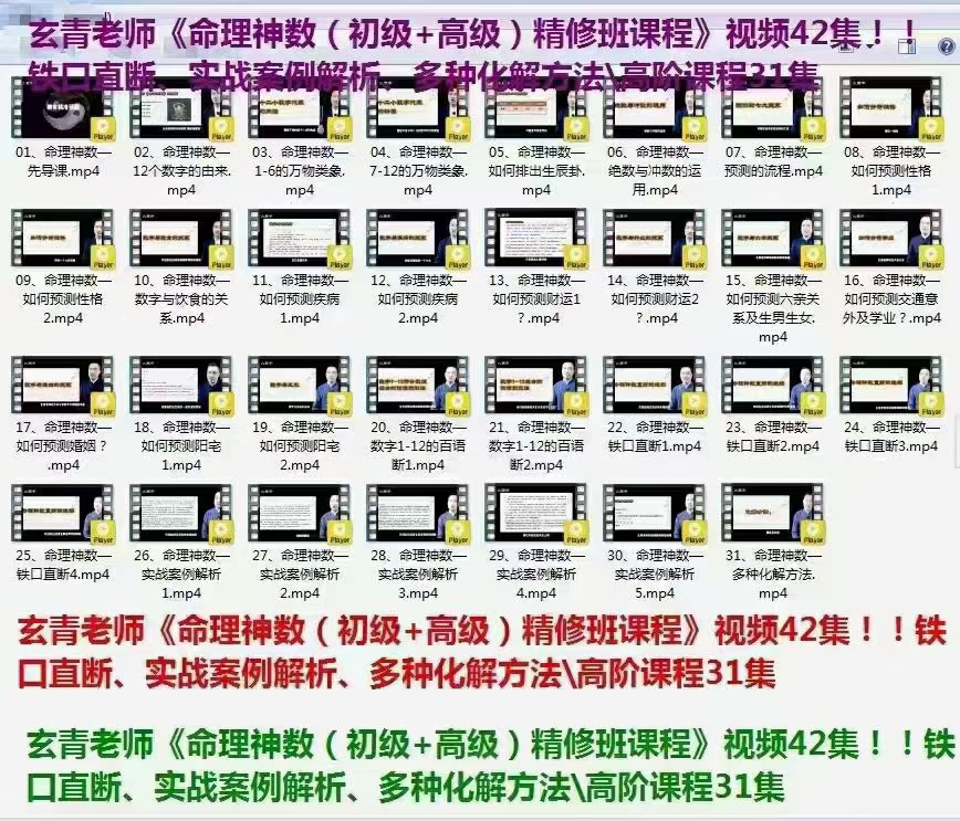 玄青老师命理神数（初级+高级）42集