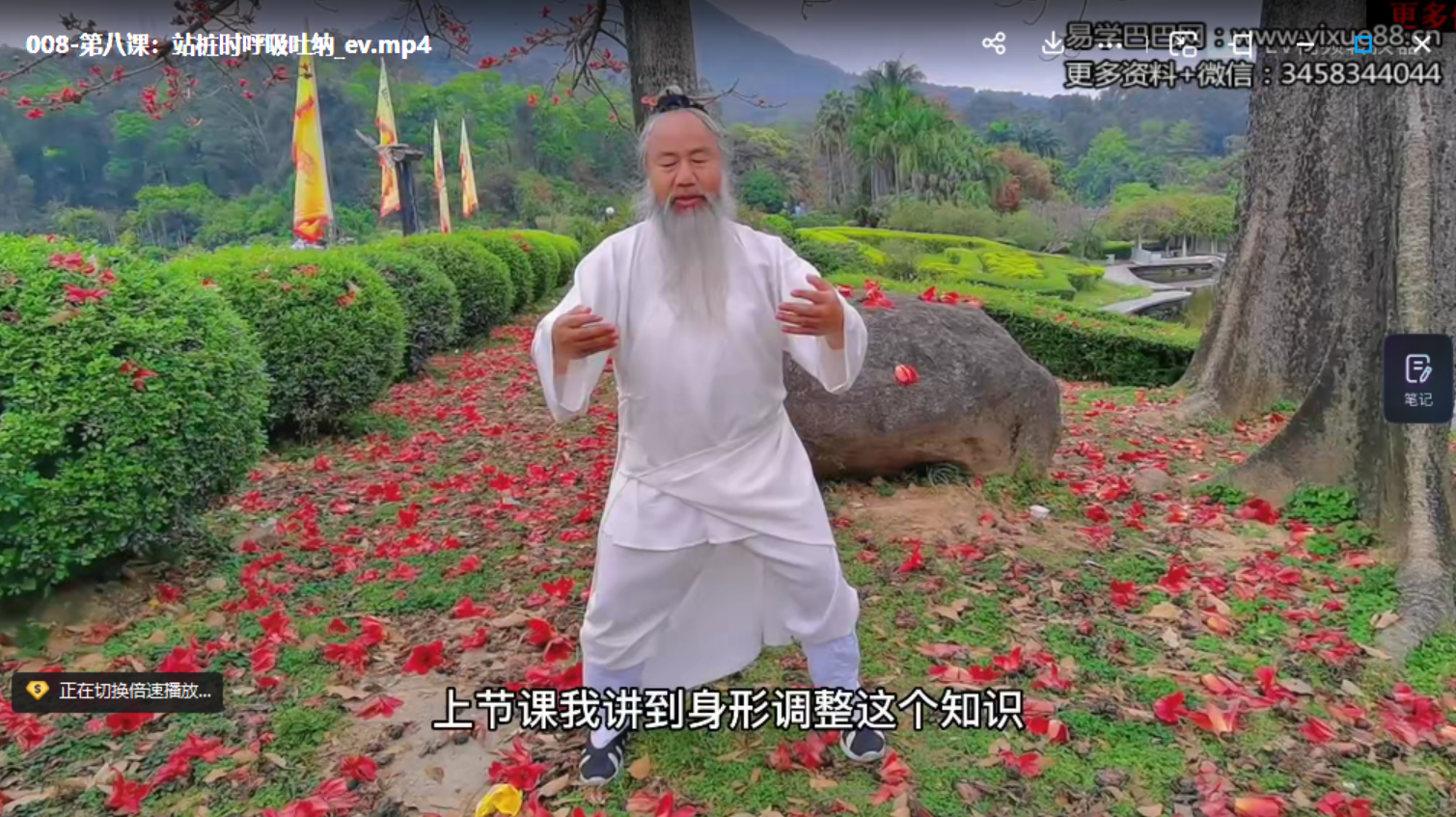 长安师智-道家混元桩详细系统教学10课时