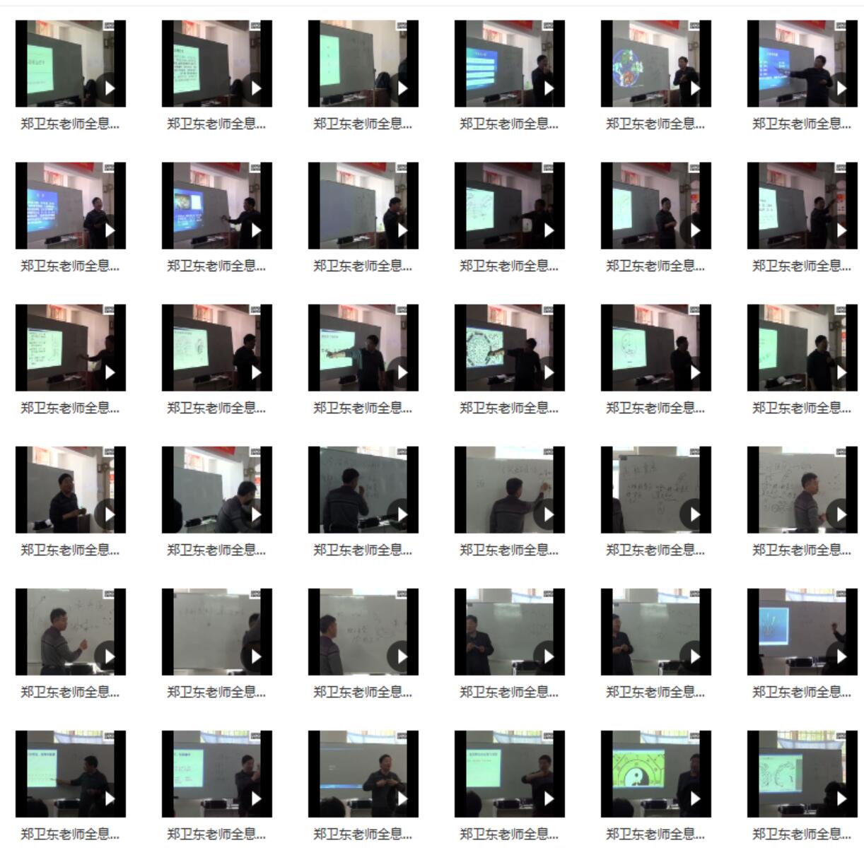 郑卫东 全息疗法课程三套视频