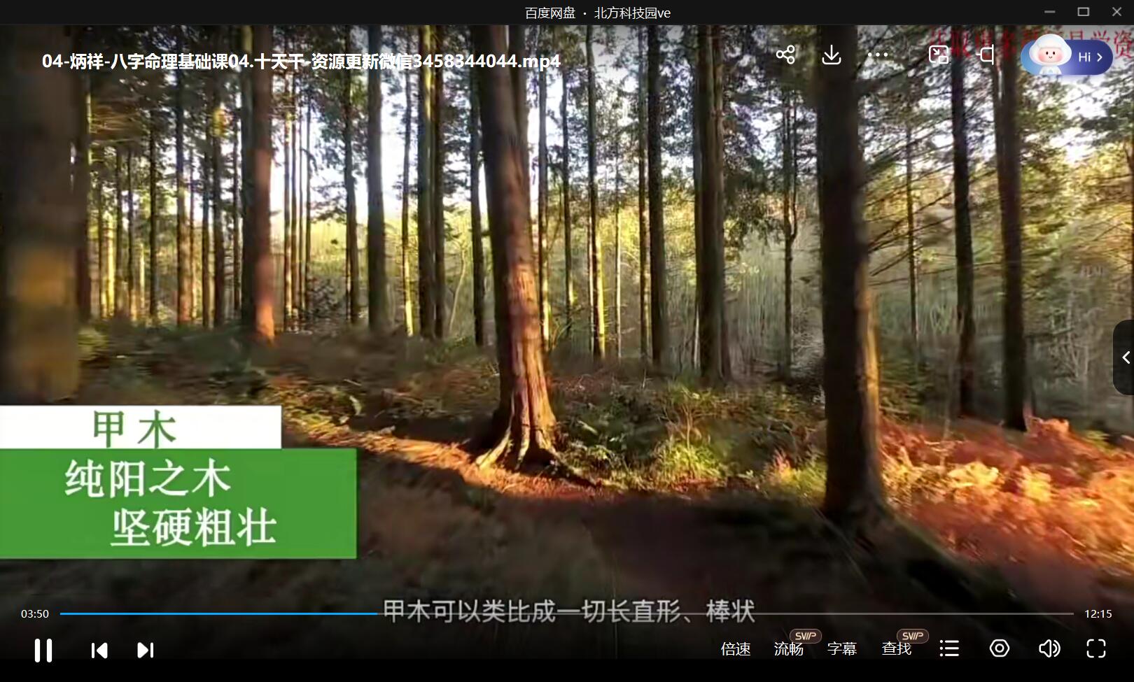 炳祥 2021问真八字命理基础课