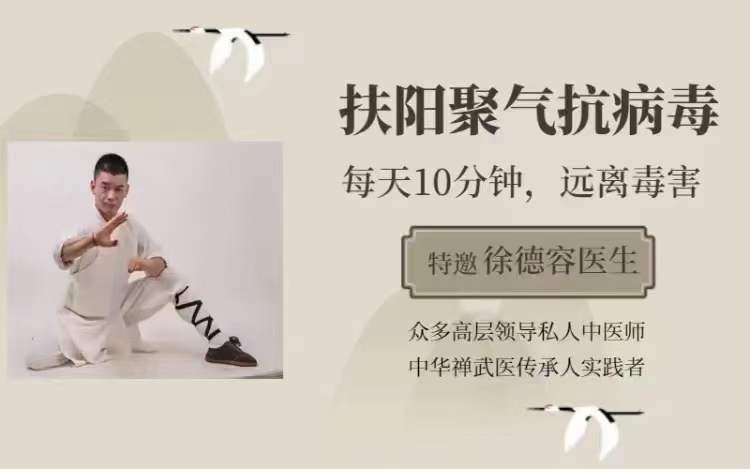 内丹导引术—扶阳聚气系列课程 10集