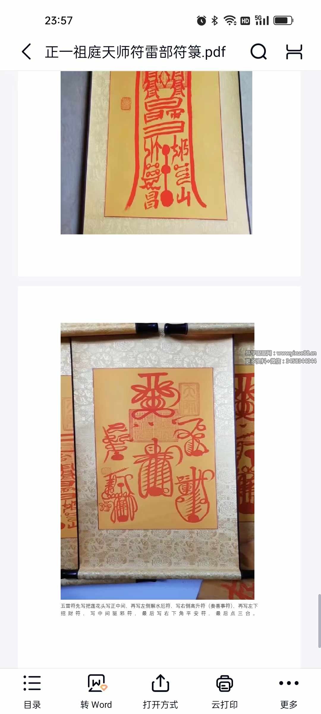 正一祖庭天师符雷部符箓21页