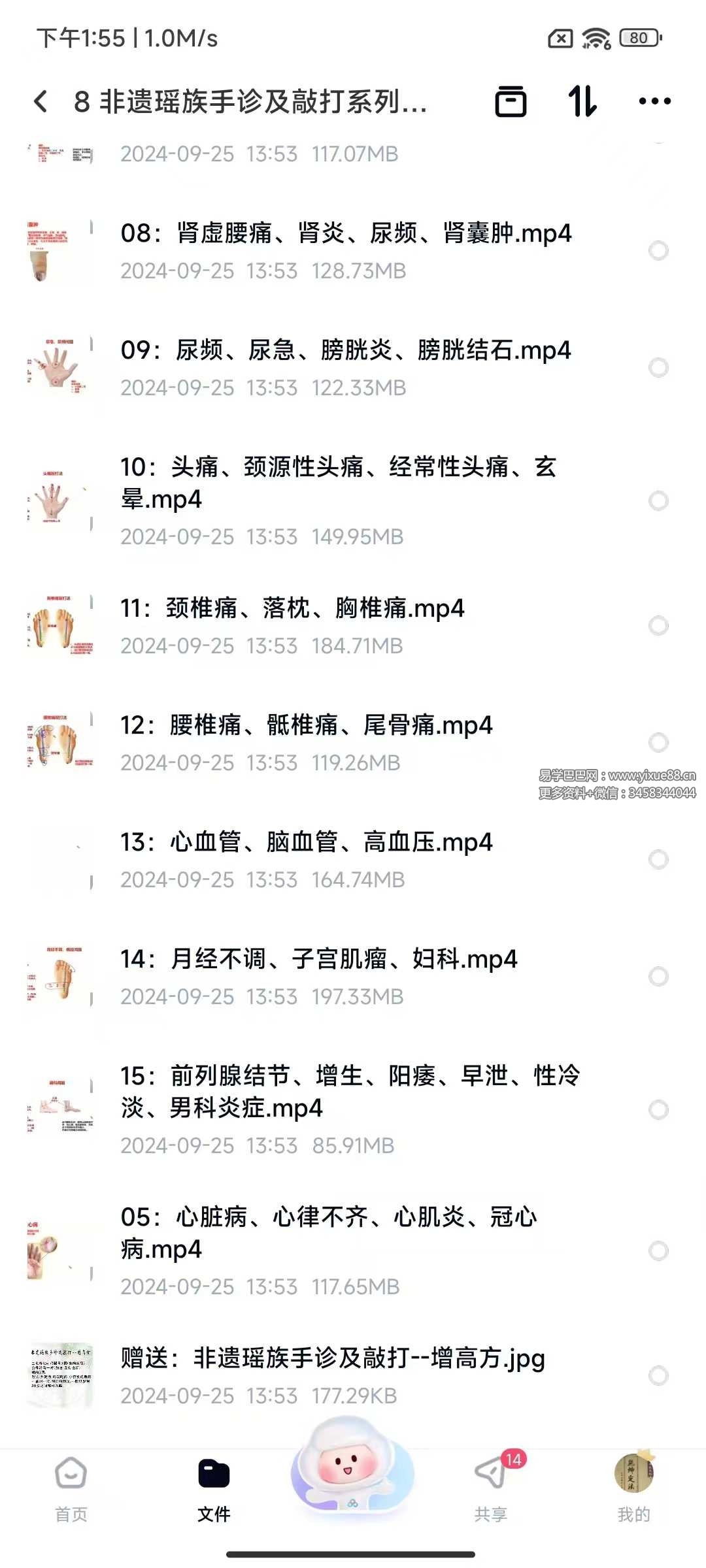 非遗瑶族手诊及敲打系列15集