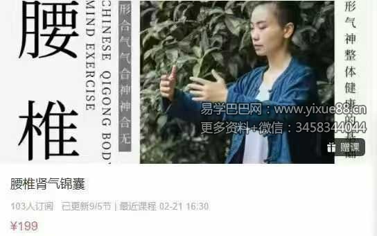 腰椎肾气锦囊9集视频