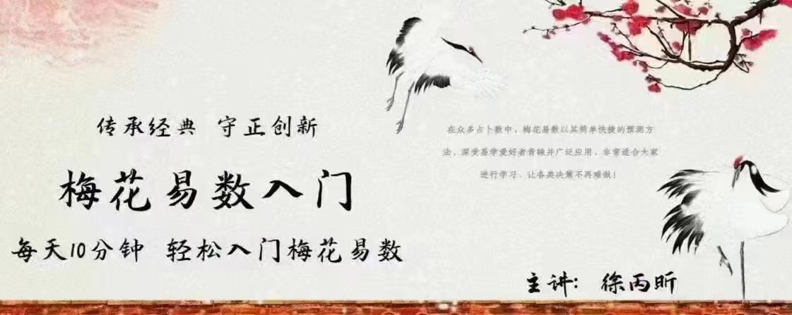 徐丙昕梅花易数入门视频26集