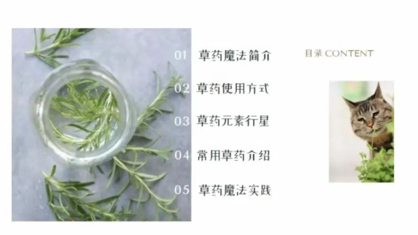 『草药魔法』milanu老师 魔法草药初阶课程 视频+录音文档