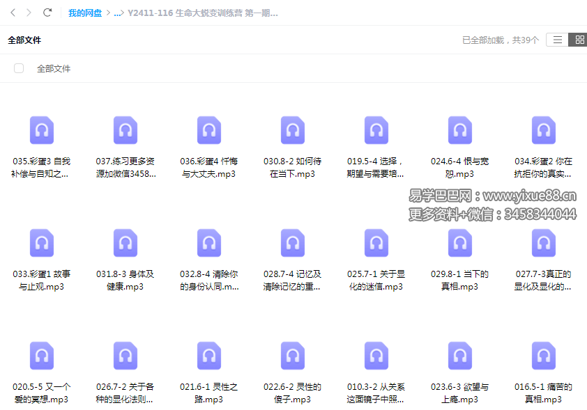 生命大蜕变训练营 第一期 38节音频