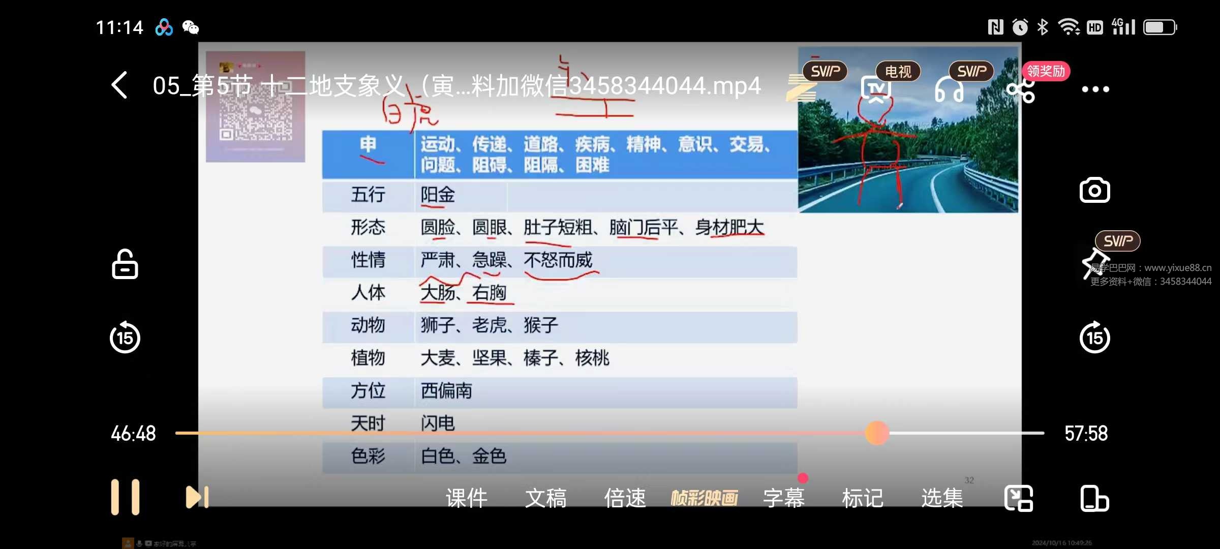 周栗莎《道家大六壬》视频28集