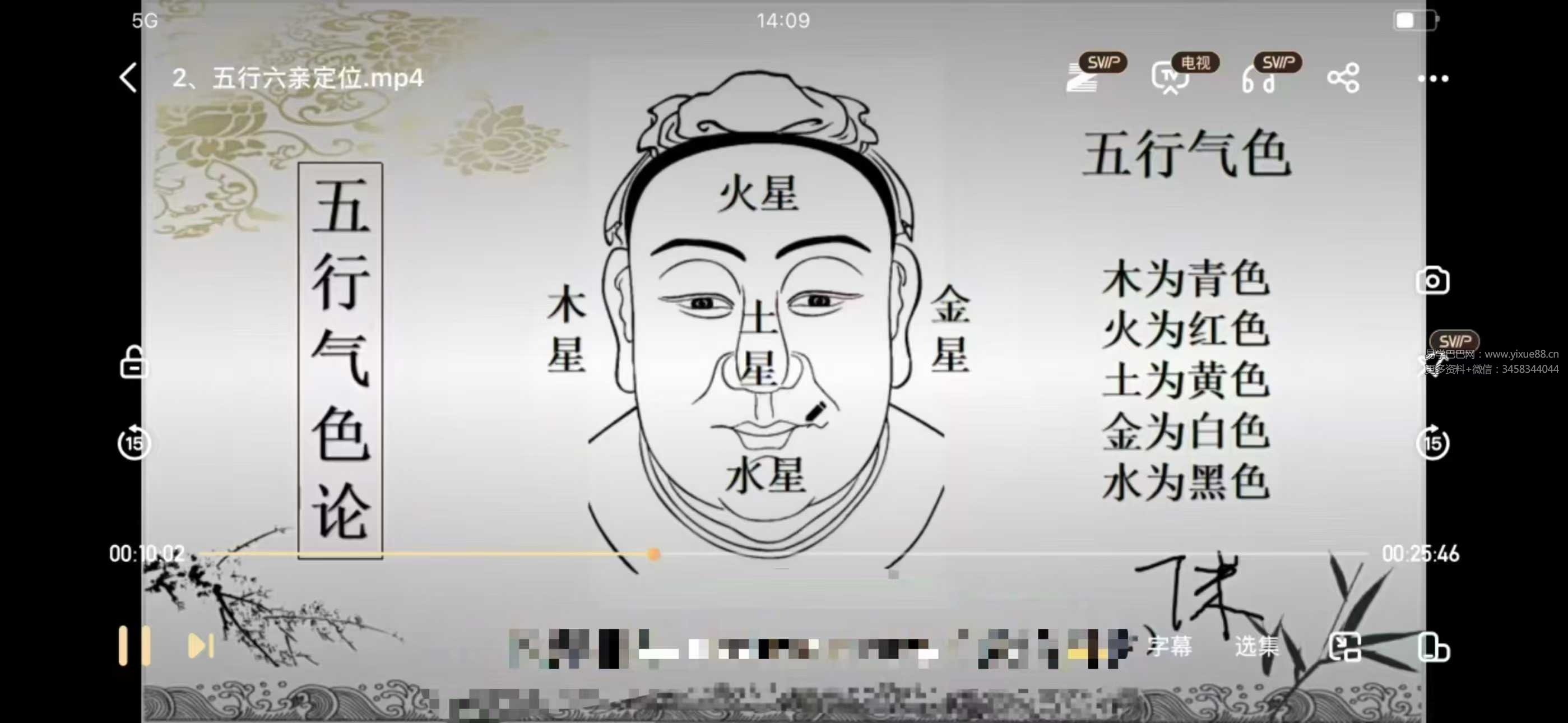 龙羿龍羿面相 面相精英版60集