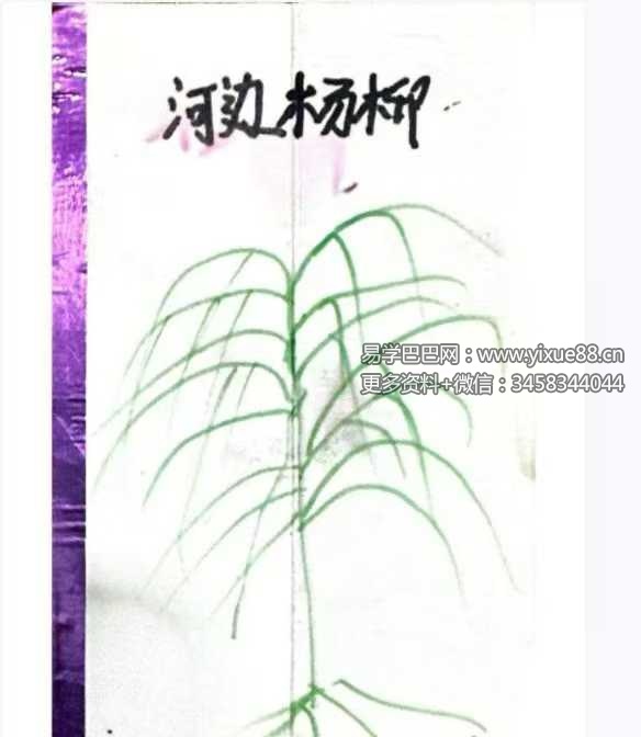 仙娘牌卦术+化解方法引流专用 文档集