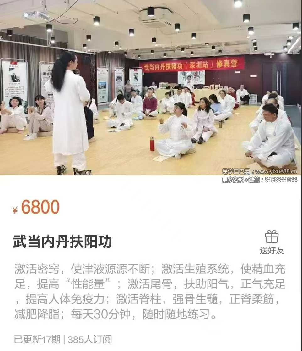 武当内丹扶阳功17集