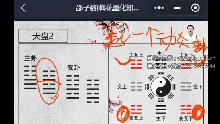 易熵 散人邵子神数 7集视频+课件