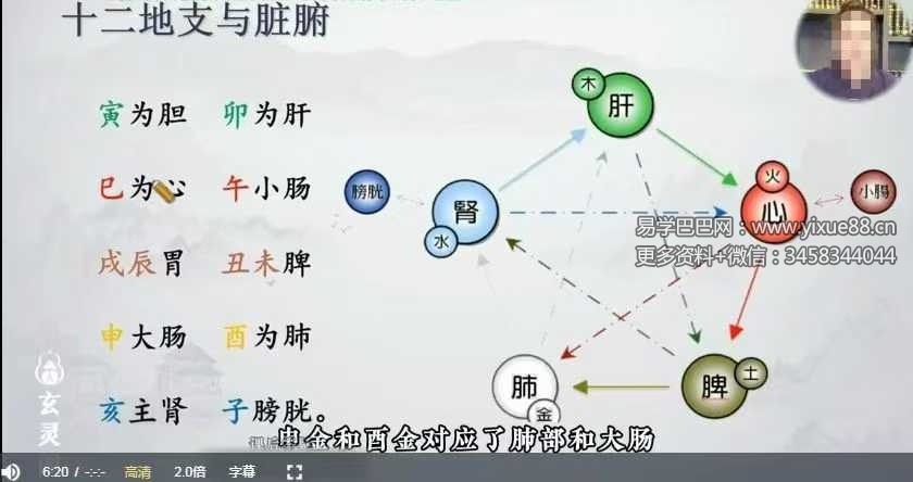 知易而行 信笛 六爻专业课（完整版）40集
