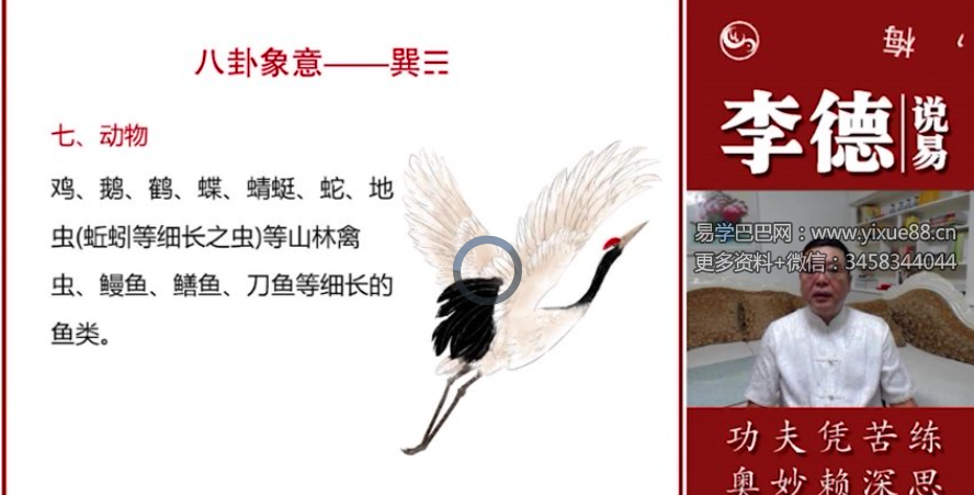 李德《梅花易数》39集内部课程