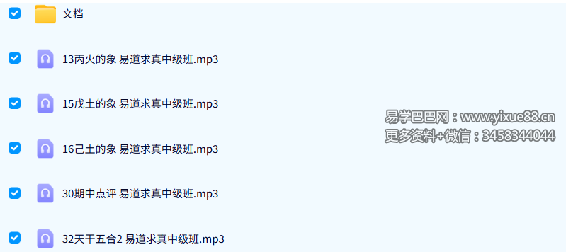 高德臣 格局论命 录音+课件