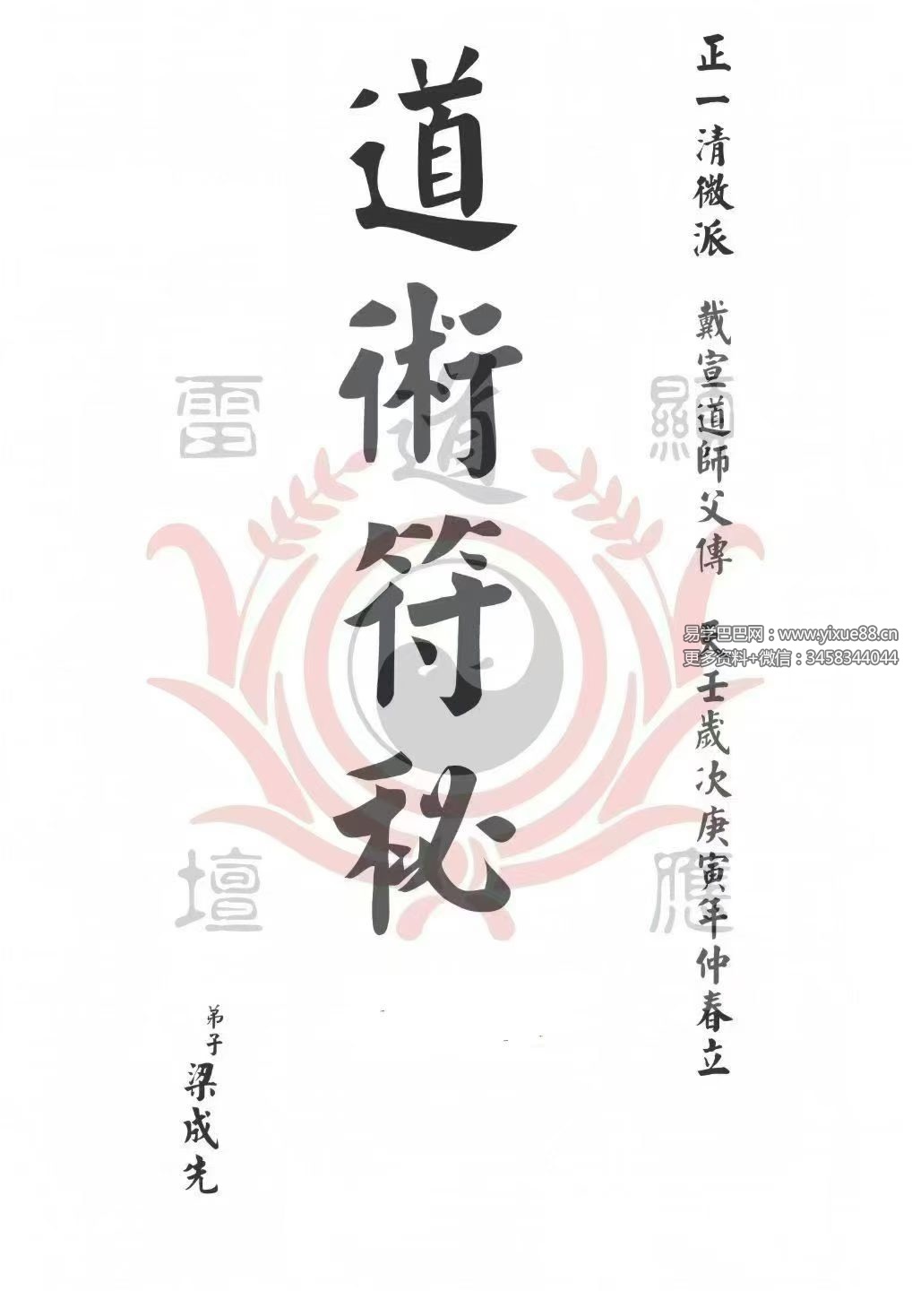 《戴家道术符秘一宗》正一清微 51页