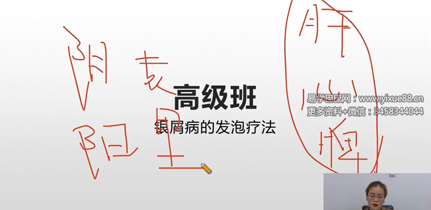 赵书曦丹溪学派秘术高级班35集
