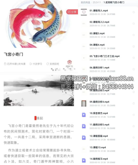 武雨桐飞宫小奇门15集