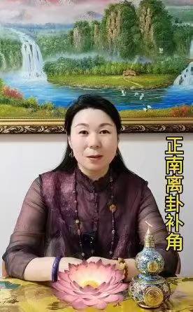 法赢法老师《布局化解专修数字易经）80集