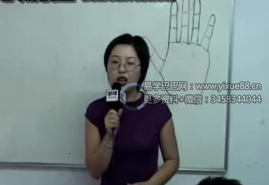 王守志-手诊疾病讲座视频5集