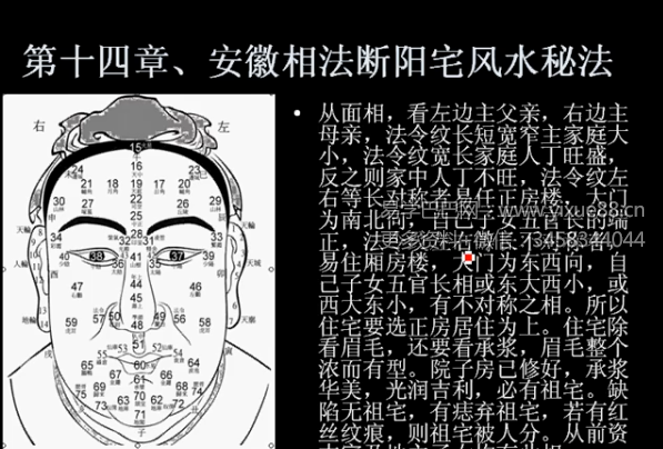 安徽相法 初级+高级 实战视频课程