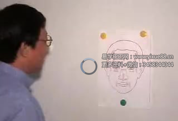 翁向宏 大汉易经学院 手相+面相学 4套