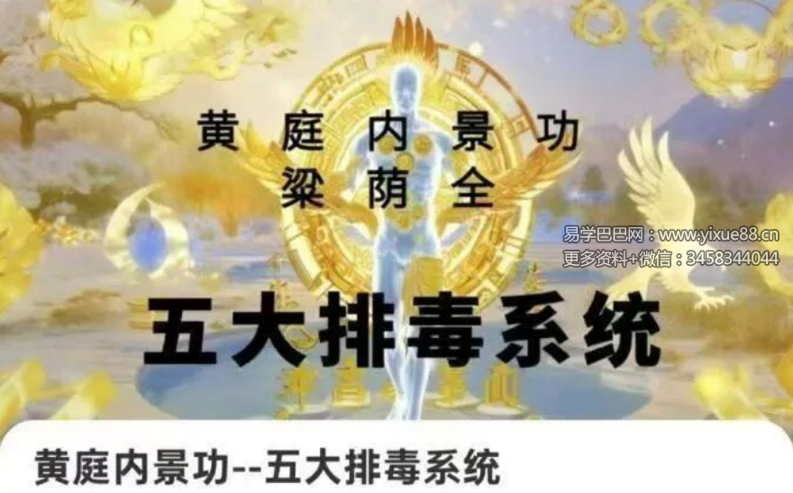 梁荫全 黄庭内景功 五大排毒系统9集